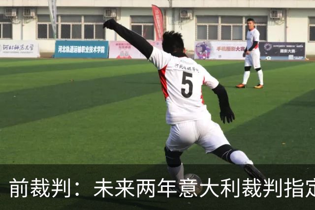 前裁判：未来两年意大利裁判指定人可能是奥尔萨托，不再一年一任