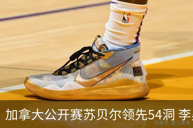 加拿大公开赛苏贝尔领先54洞 李昊桐79杆大滑坡